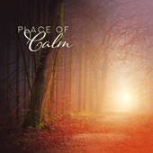 Place of Calm: Soft Piano Melodies to Keep Cool artwork