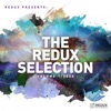 Redux Selection, Vol. 1: 2020