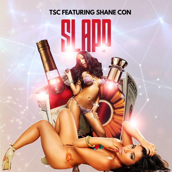 Slapp (feat. Lil Daddy) - Single - TSC