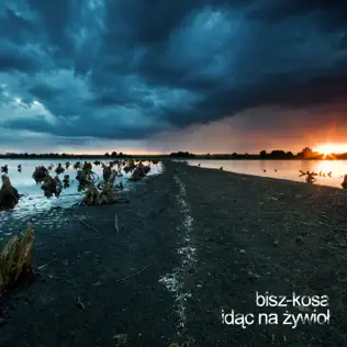 last ned album Bisz Kosa - Idąc Na Żywioł