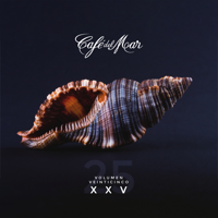 Café del Mar - Café Del Mar XXV (Vol. 25) artwork