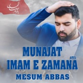 Munajat Imam E Zamana artwork