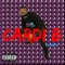 Cardi B - Greg lyrics