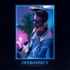 Introspect, 2019