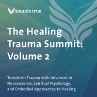 Dr. Gábor Máté, Bonnie Badenoch, PhD, Sandra Ingerman, MA, Mark Epstein & Shaka Senghor - The Healing Trauma Summit: Volume 2: Transform Trauma with Advances in Neuroscience, Spiritual Psychology, and Embodied Approaches to Healing (Original Recording) artwork