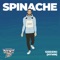 123Dziki (Hymn) - Spinache lyrics