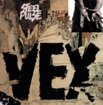 Steel Pulse - No Justice No Peace