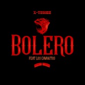 Bolero (feat. Los Cavakitos) artwork