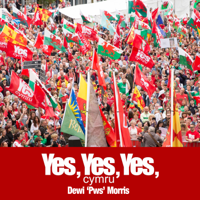 Dewi Morris - Yes, Yes, Yes  (Cymru) artwork