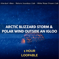Stardust Vibes, White Noize Dream Club & Nature Soundzzz Club - Arctic Blizzard Storm & Polar Wind Outside an Igloo: 1 Hour Loopable artwork