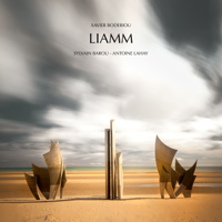 Xavier Boderiou - Liamm (with Sylvain Barou & Antoine Lahay) artwork