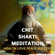 Sadhguru - Learn Meditation: Health, Love, Peace and Success
