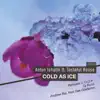 Cold as Ice (feat. Tasteful House) [DJ Runo Remix] song lyrics