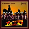 La Ley Del Norte - La Rana y el Patito