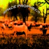 Space Prophecy