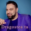 Dragostea Ta - Single