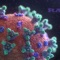 Coronavirus - Rani Anis lyrics