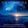 The Cosmic Sea (Meditations Through the Universe of the Mind), 2019