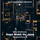 Aapa Wakh Ho Jana (Slowed & Reverb) artwork