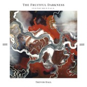 The Fruitful Darkness (Instrumental) artwork