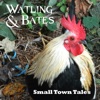 Watling & Bates - Wondering About My Time (feat. Christopher Ridgway)