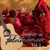 Sabor a Flamenco (Vol.1) artwork