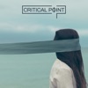 Critical Point