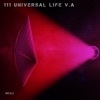 111 Universal Life V.A, 2020