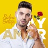 Ay Amor - Single