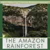 Stream & download The Amazon Rainforest - Best Relaxing Tropical Amazon Sounds, Saving Earth