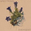 Emergent - EP