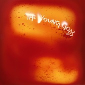 The Young Gods - Longue route (Remix)