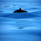 Blue Dolphin Blue artwork