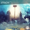 Afterlife - Single