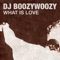 What Is Love - DJ BoozyWoozy lyrics