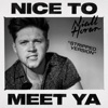 Nice To Meet Ya by Niall Horan iTunes Track 3