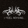 I Feel Nothing - Single
