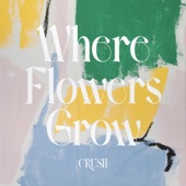 Crush - Where Flowers Grow