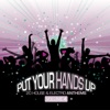 Put Your Hands Up, Vol. 4 (20 House & Electro Anthems)