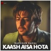 Kaash Aisa Hota - Single