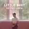 North Ridge Noise (feat. Mark Dann) - Little Busy lyrics