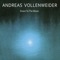 Drown in Pale Light - Andreas Vollenweider lyrics