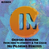 From Here to Eternity (Nu Pilgrims Radio Edit) artwork