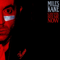 Can You See Me Now-Miles Kane