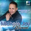 Warum (Mixmaster JJ Fox Mix) - Single