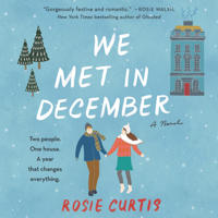 Rosie Curtis - We Met in December artwork