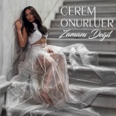 Zamanı Değil artwork