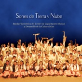 Sones de Tierra y Nube (Vol.1) artwork