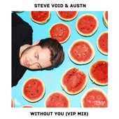 Without You (VIP Mix) artwork