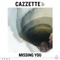 Missing You (feat. Parson James) - Cazzette lyrics